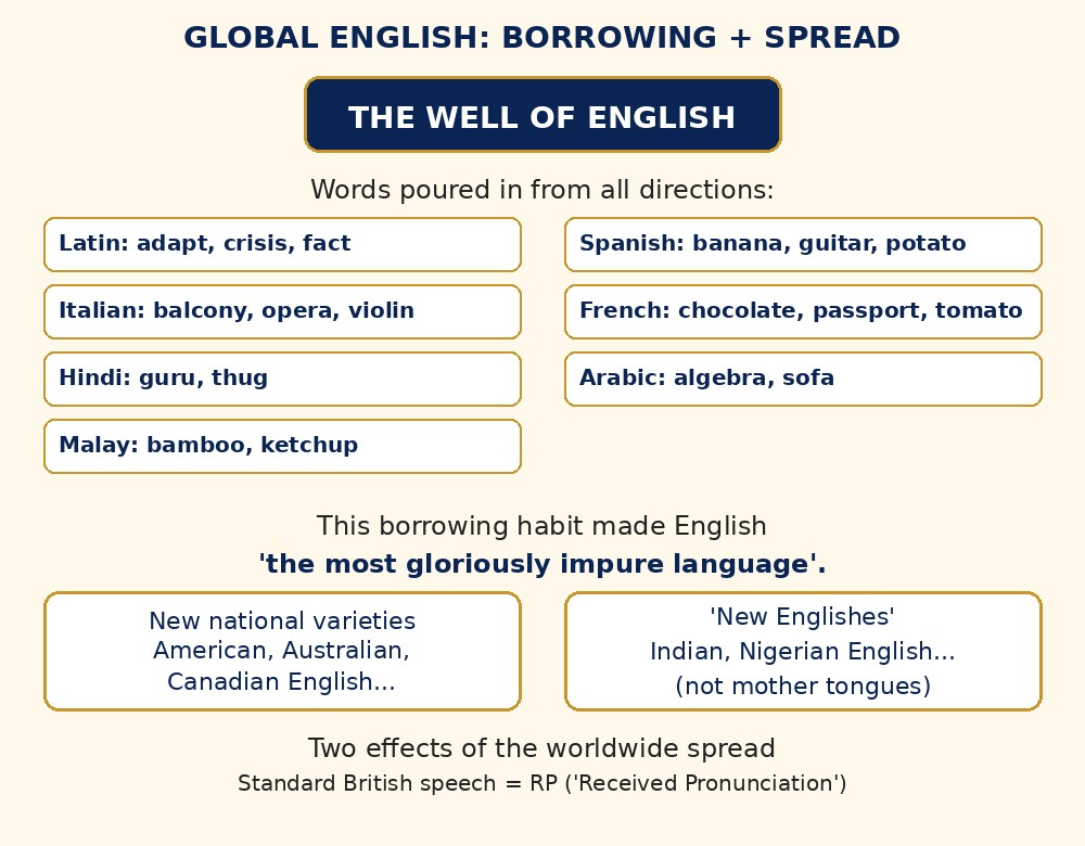 Global English labelled diagram