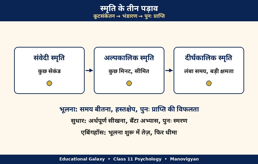 मानव स्मृति
