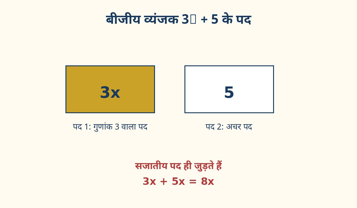 नया चित्र: बीजीय व्यंजक