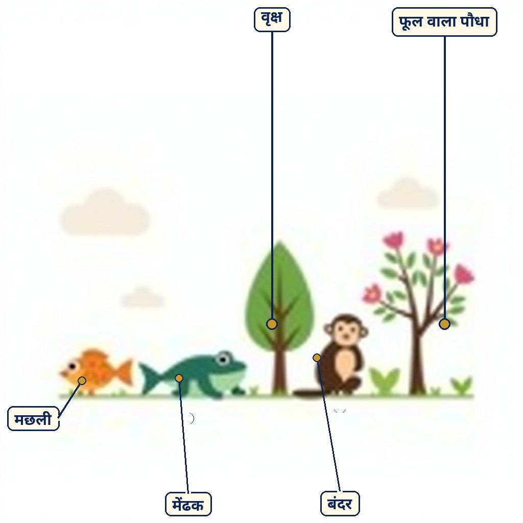 जीवों में विविधता के लिए लेबल वाला चित्र