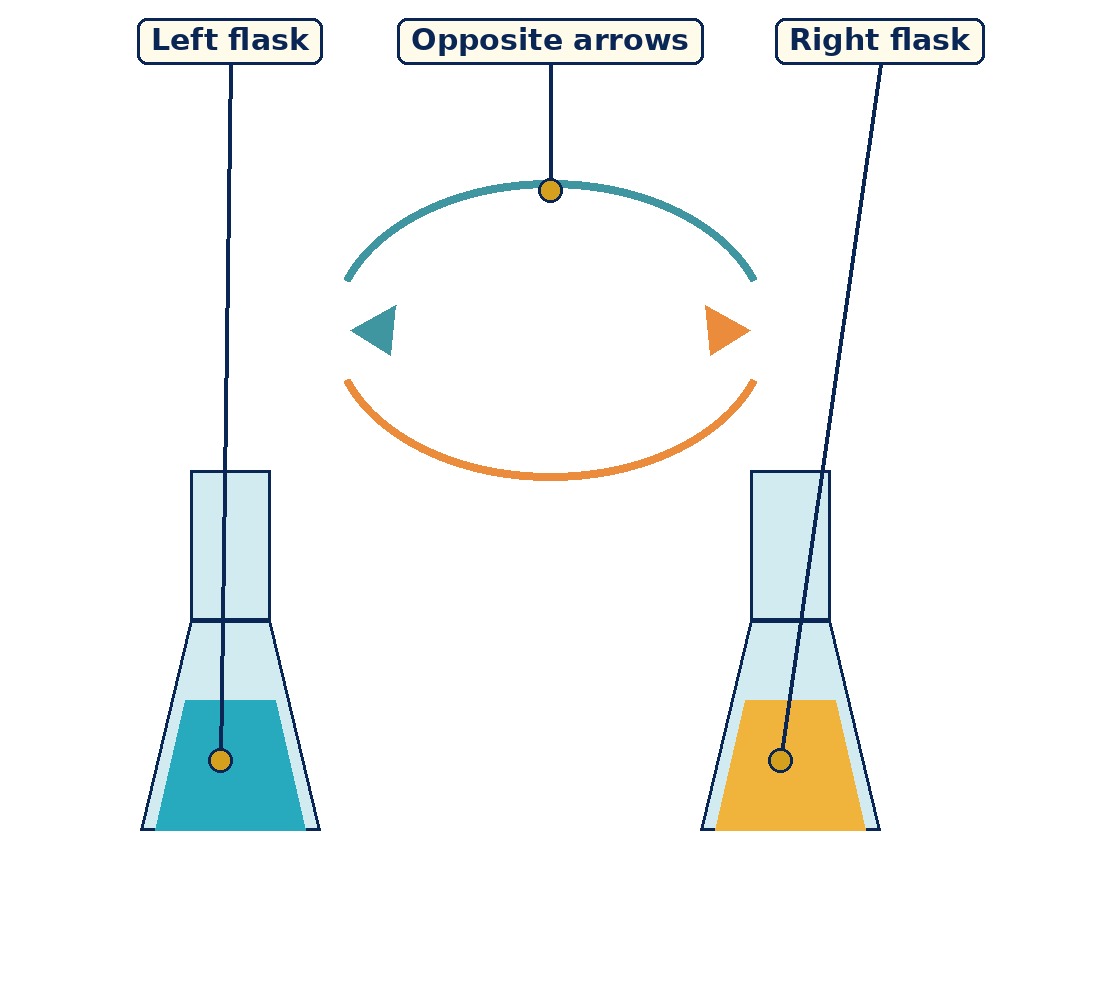 Labelled diagram for Chapter 6: Equilibrium