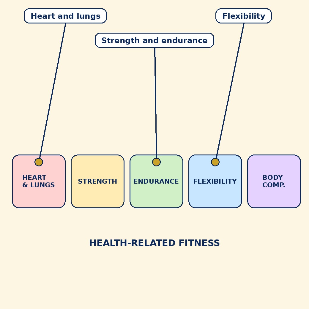 Labelled schematic for Chapter 8: Health Related Physical Fitness