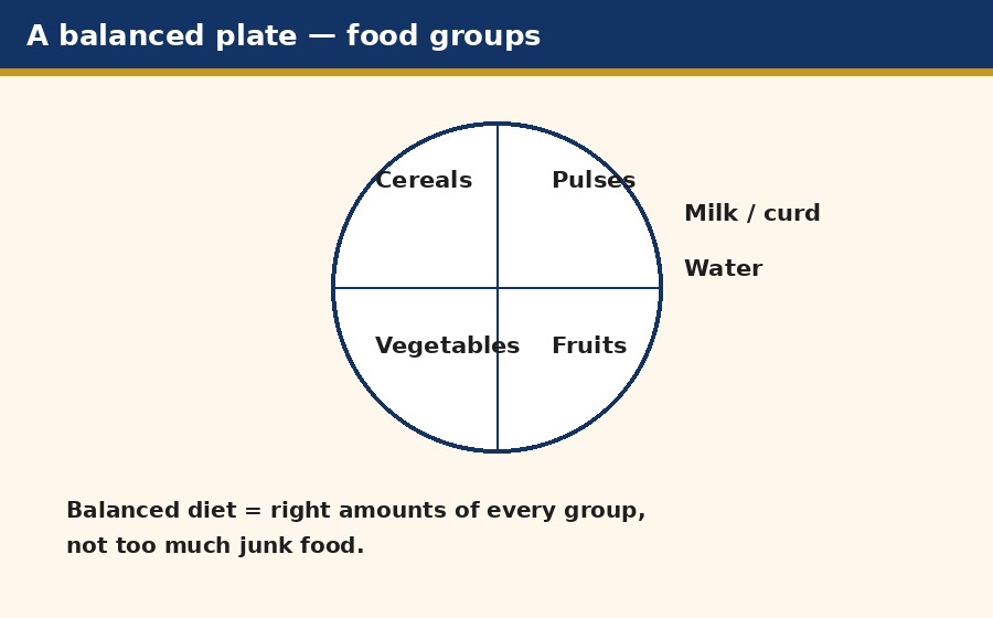 A balanced plate divided into food groups